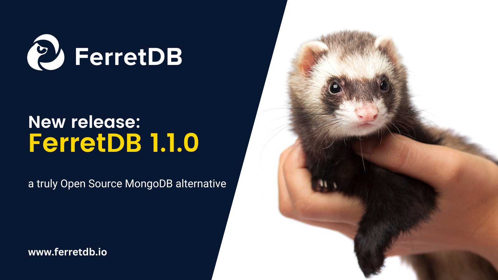 FerretDB v1.1.0