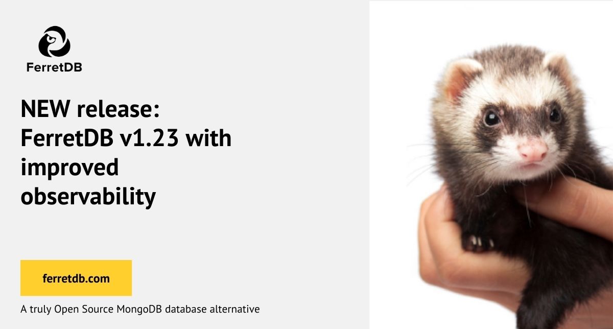 FerretDB v1.23