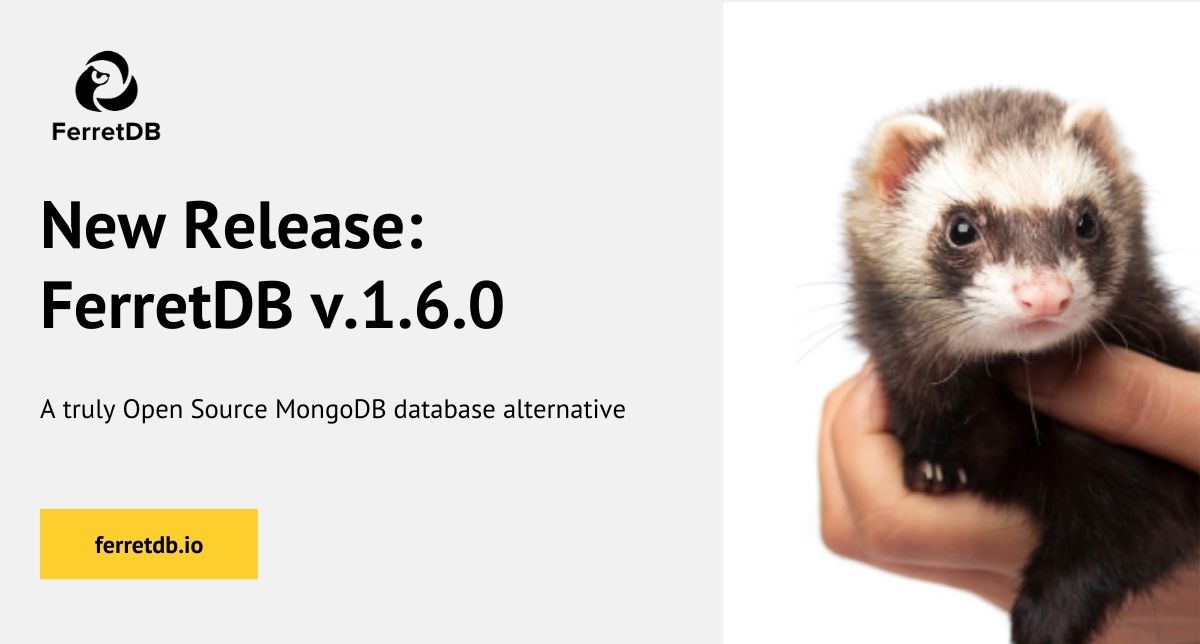 FerretDB v1.6.0 - minor release